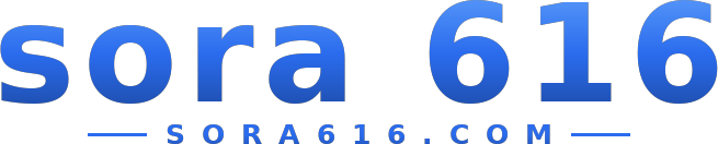 sora 616 logo